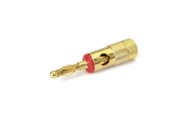 Dynavox Banaanstekker male - Klemcilinder - Verguld - Rood