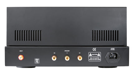 Dynavox buizenversterker Mono VR80E zwart