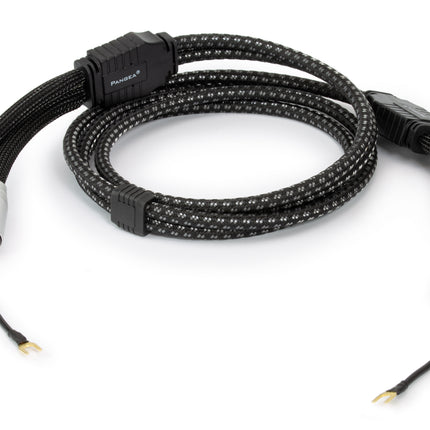 Pangea Premier XL Phono Kabel 1.25 meter